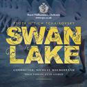Swan Lake专辑