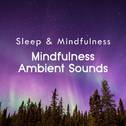 Mindfulness Ambient Sounds (Sleep & Mindfulness)