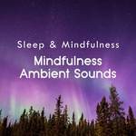 Mindfulness Ambient Sounds (Sleep & Mindfulness)专辑