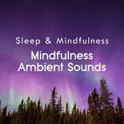 Mindfulness Ambient Sounds (Sleep & Mindfulness)