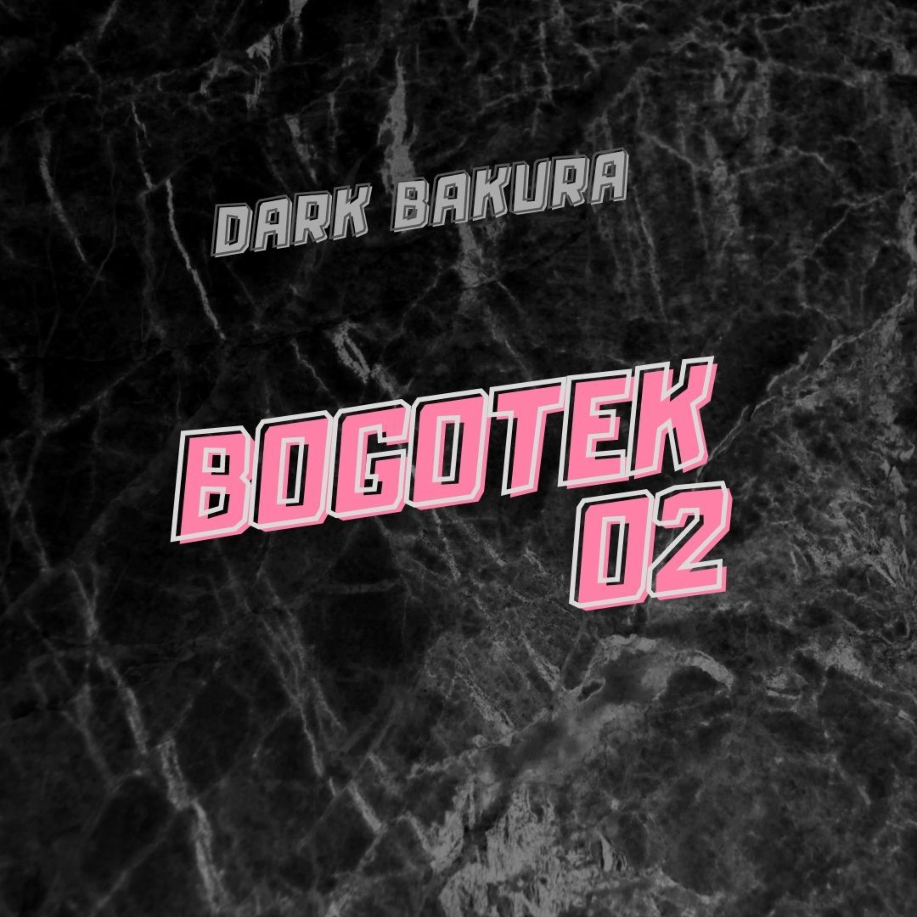 Bogotek 02