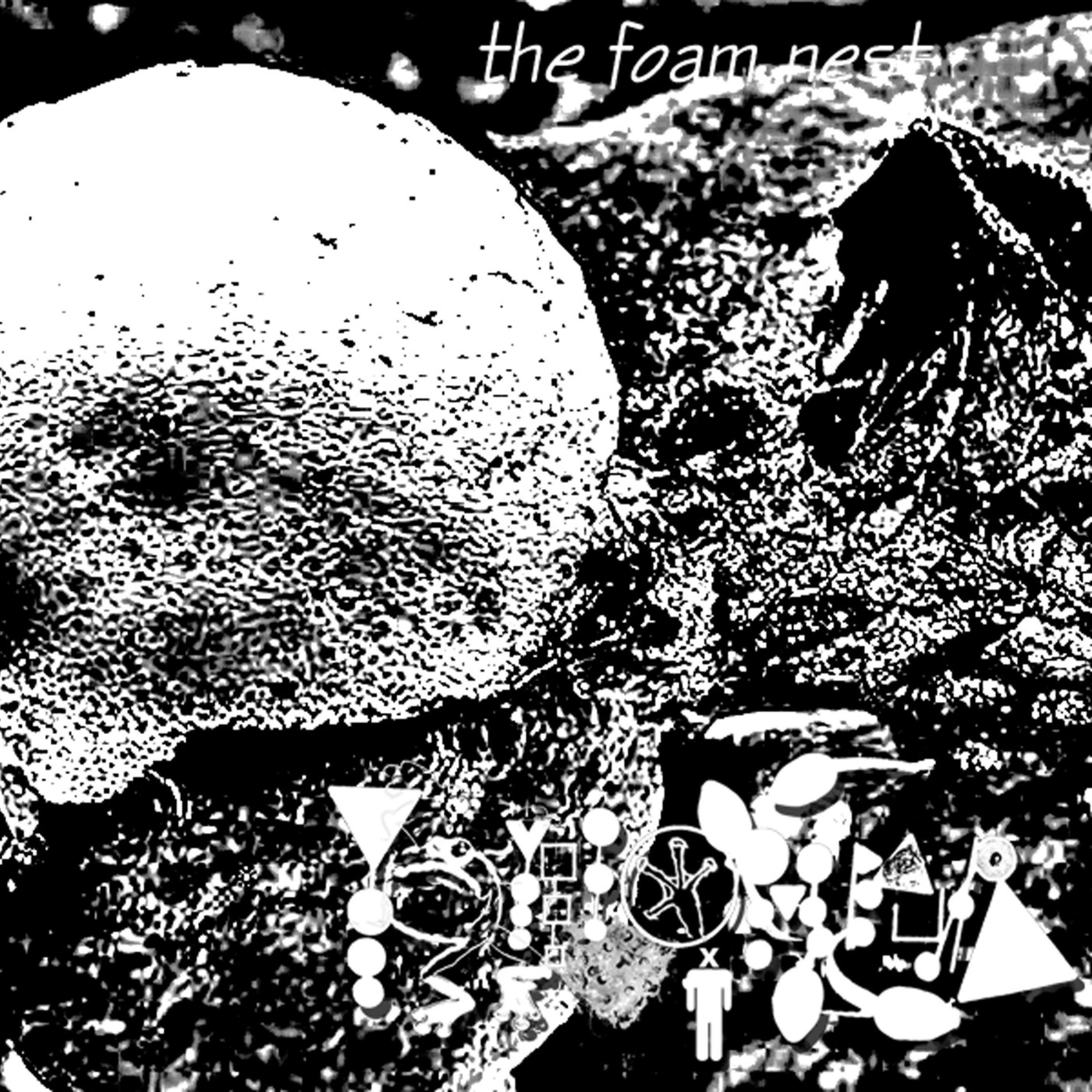 The Foam Nest I