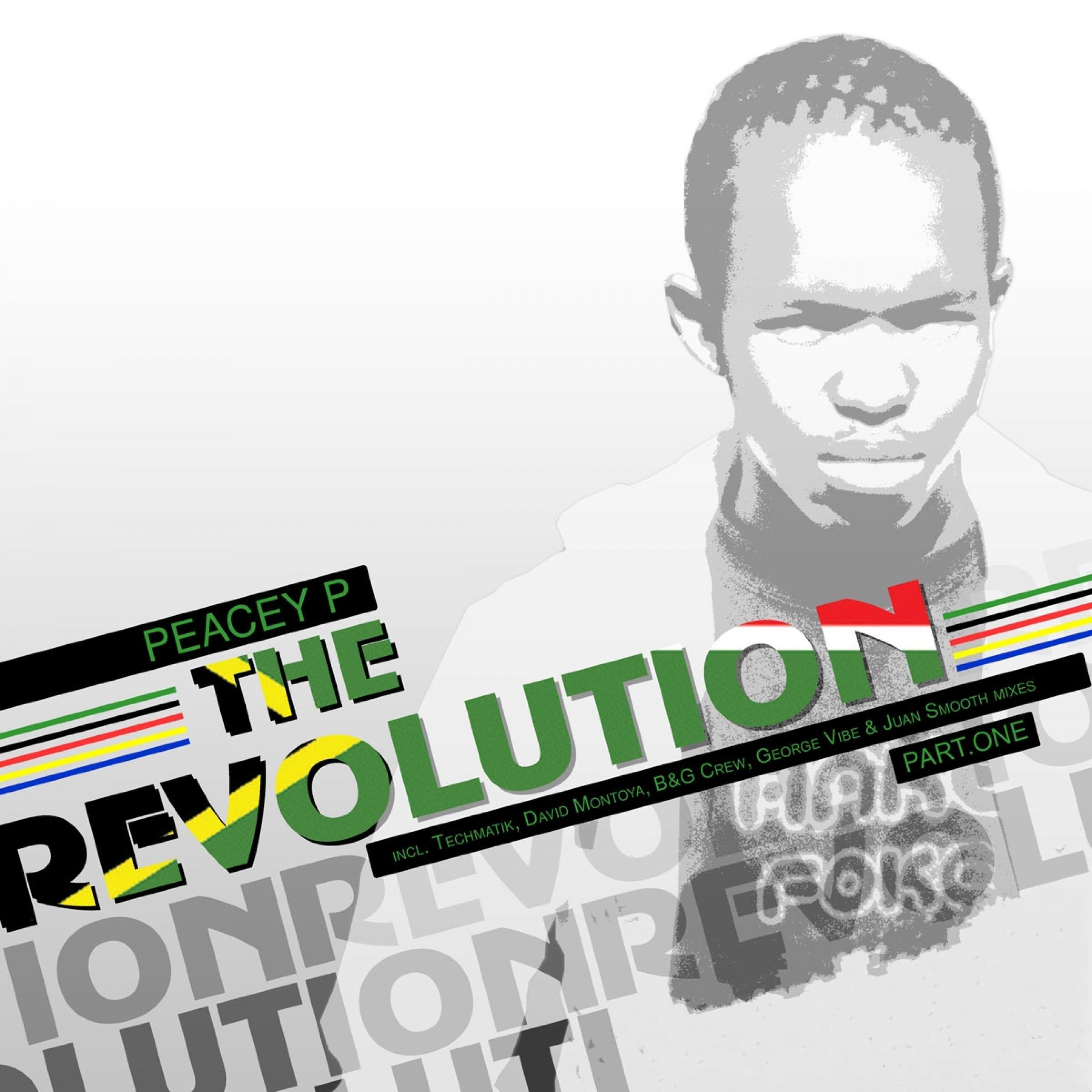 The Revolution, Pt. 1