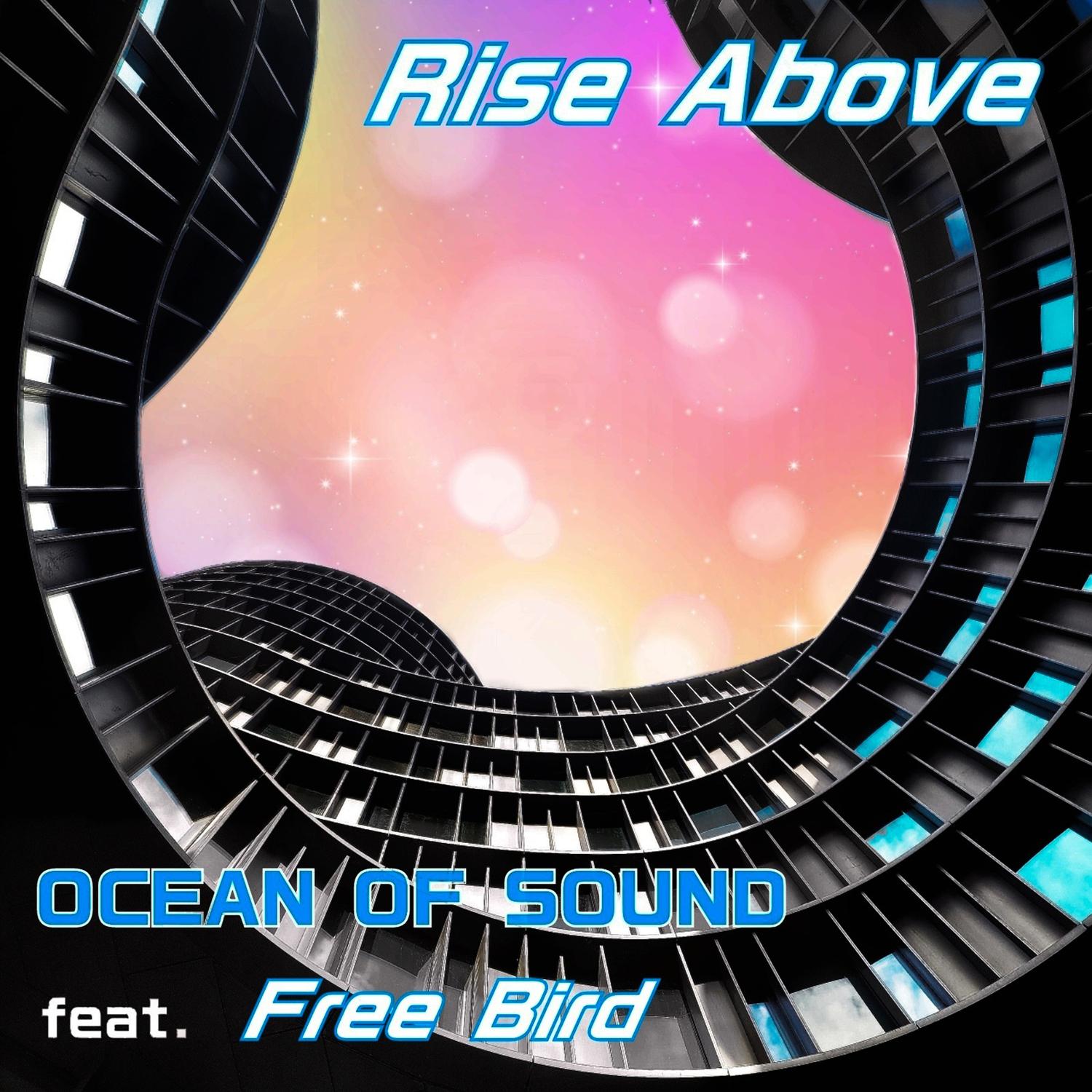 Rise Above