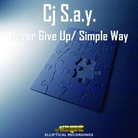 Never Give Up - Sia (PT Instrumental) 无和声伴奏