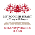 MY FOOLISH HEART~Crazy in Shibuya~ - Single