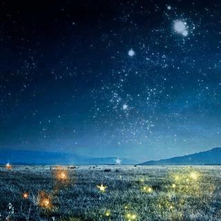 纯音乐｜安静入睡