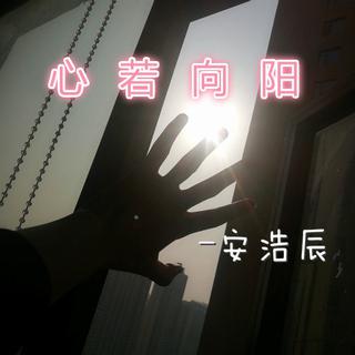 抖音DJ版