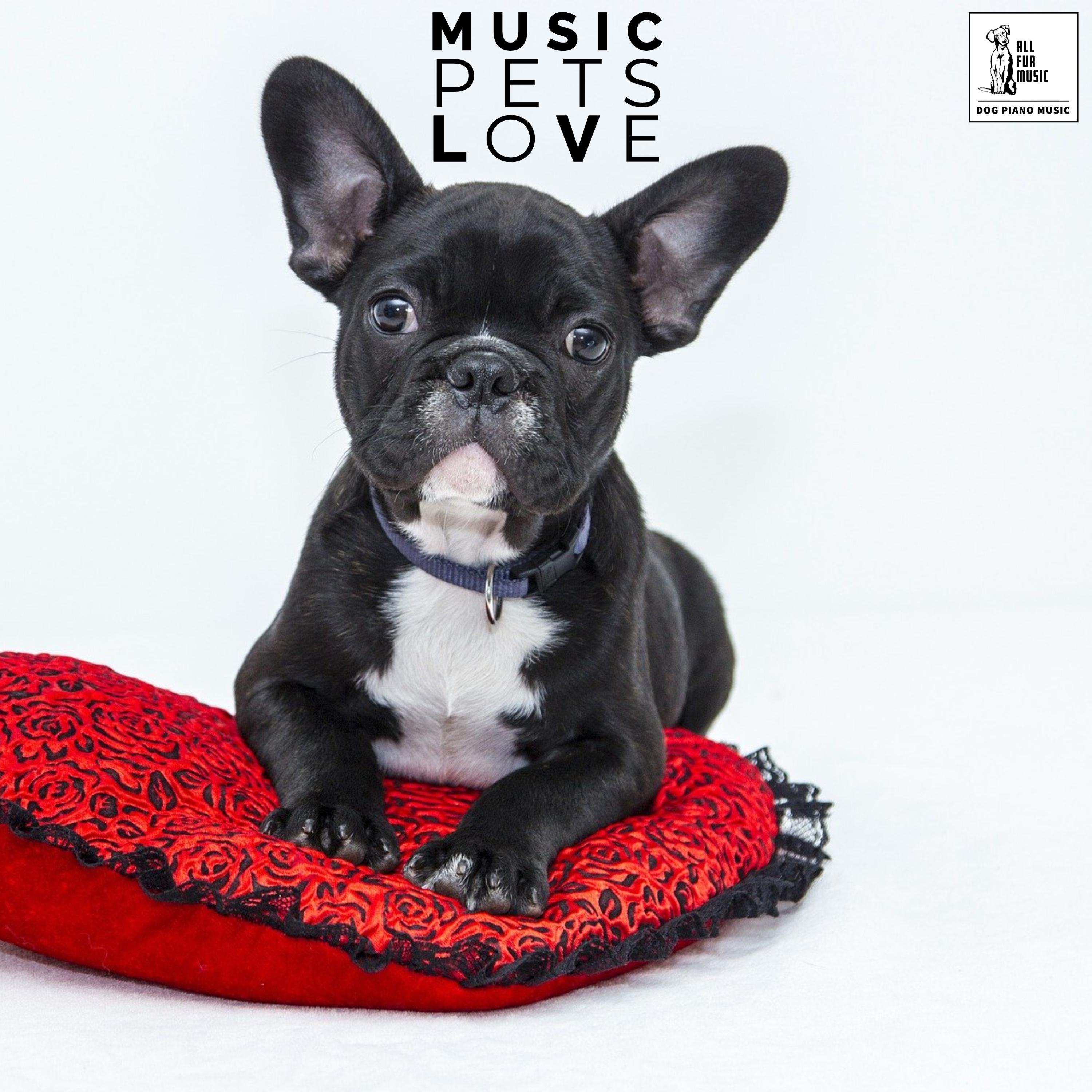 Music Pets Love