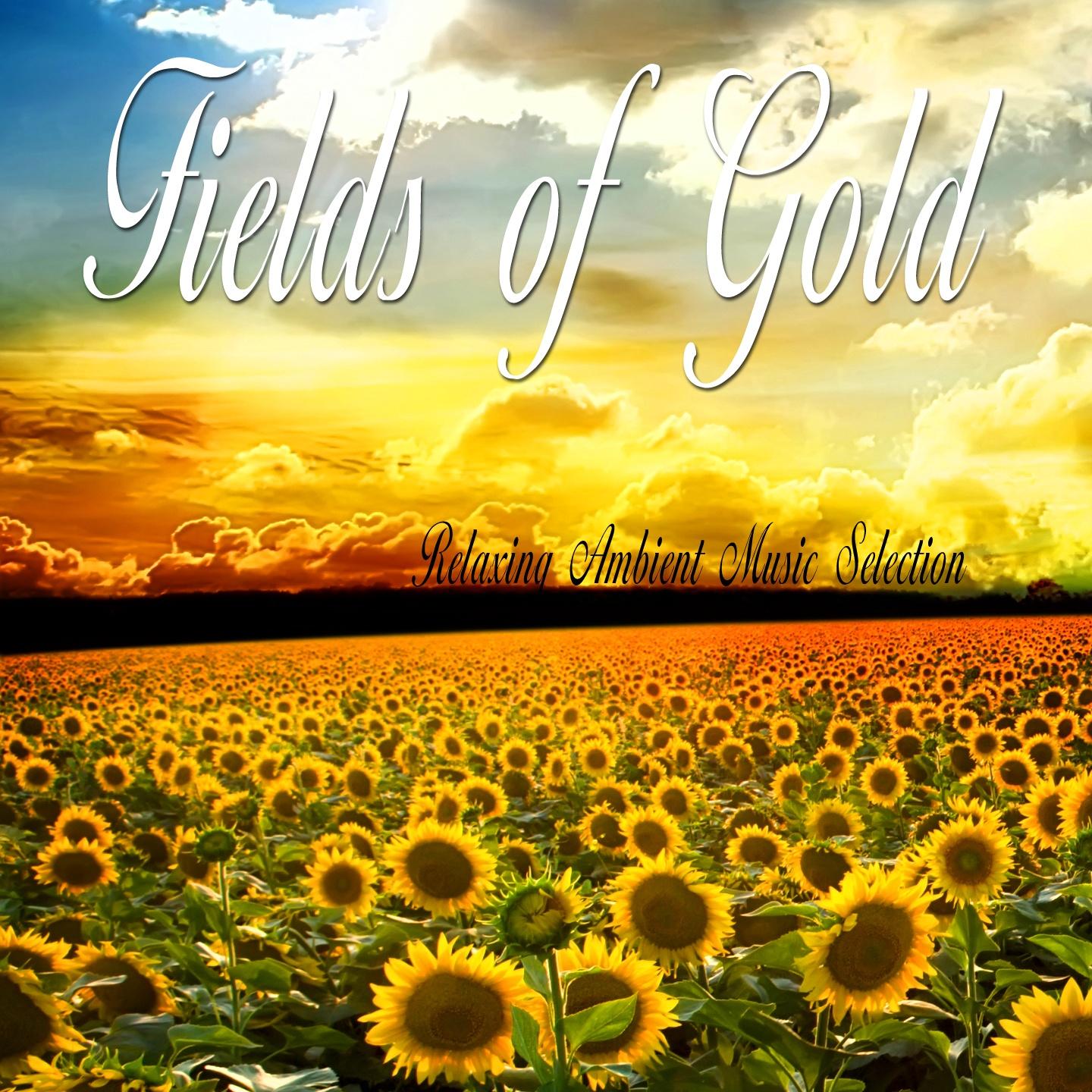 Fields Of Gold Relaxing Ambient Music Selection