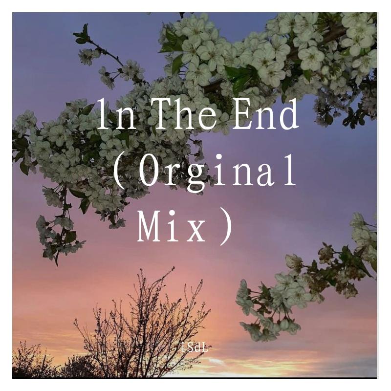 ln The End （Orginal Mix）3.0
