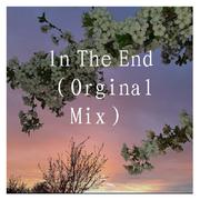 ln The End （Orginal Mix）3.0