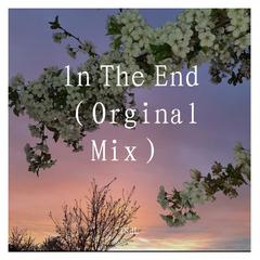 ln The End （Orginal Mix）3.0