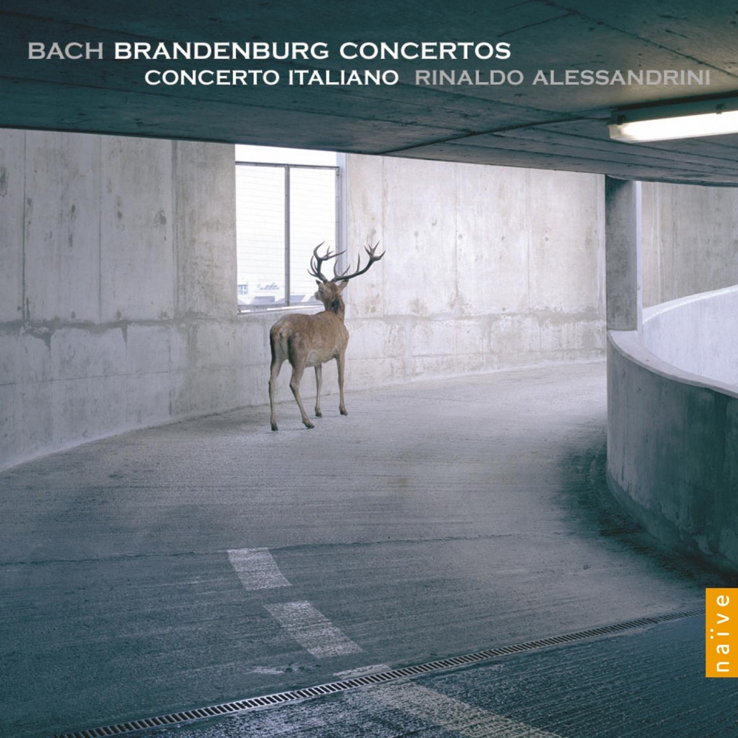 Concerto N°6 BWV1051 in B flat major: III.Allegro