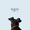 Memory Vol.1