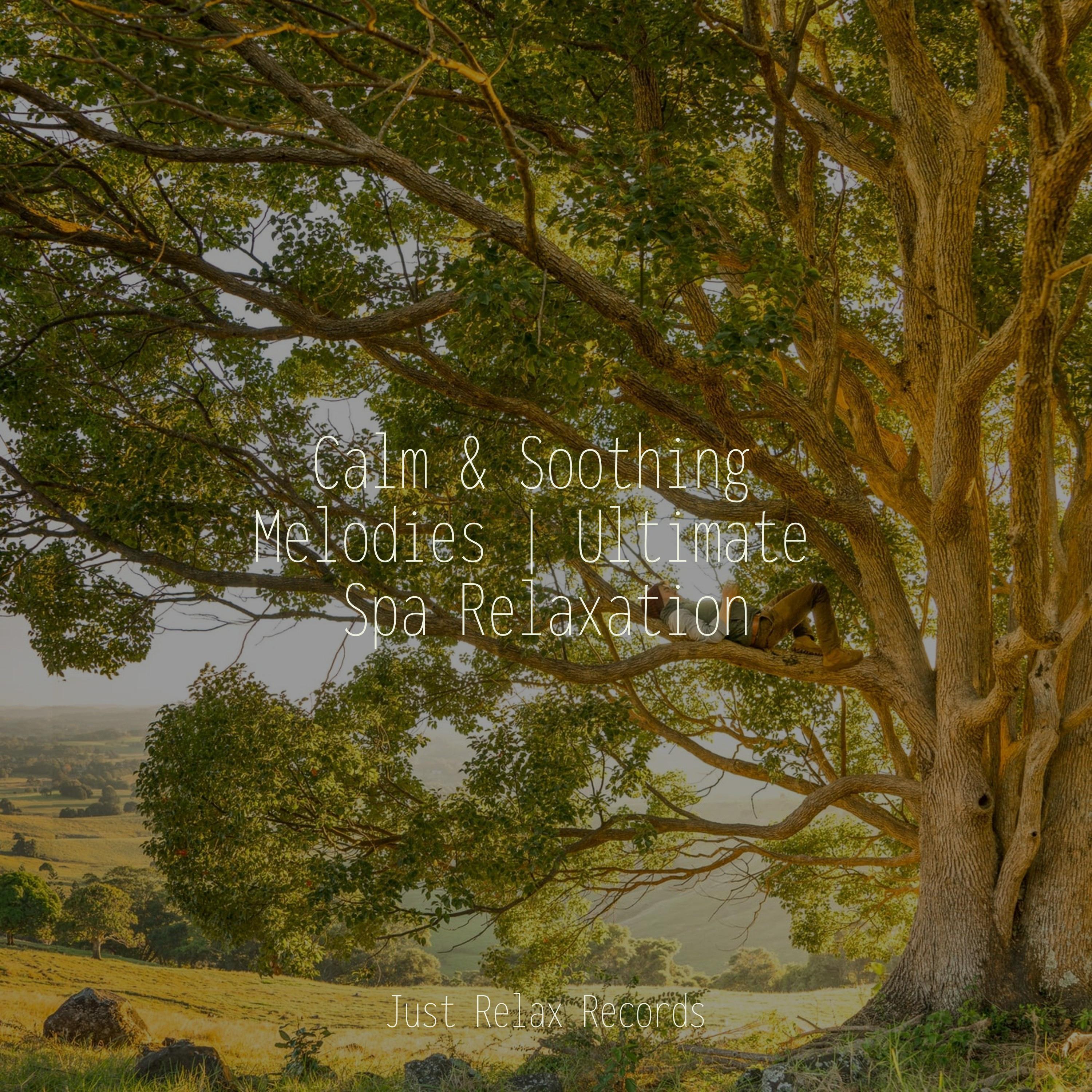 Calm & Soothing Melodies | Ultimate Spa Relaxation