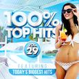 100% Top Hits, Vol. 29