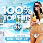 100% Top Hits, Vol. 29