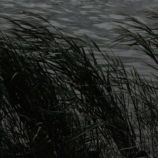 陈粒