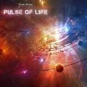 Future World Music Volume 13: Pulse of Life专辑
