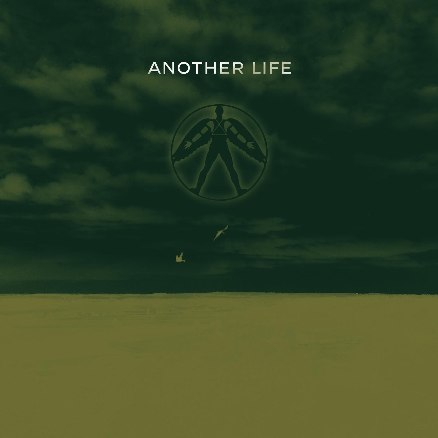 Another Life