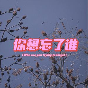 忘了谁（女伴奏）