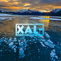 XAL-