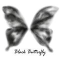 Black Butterfly