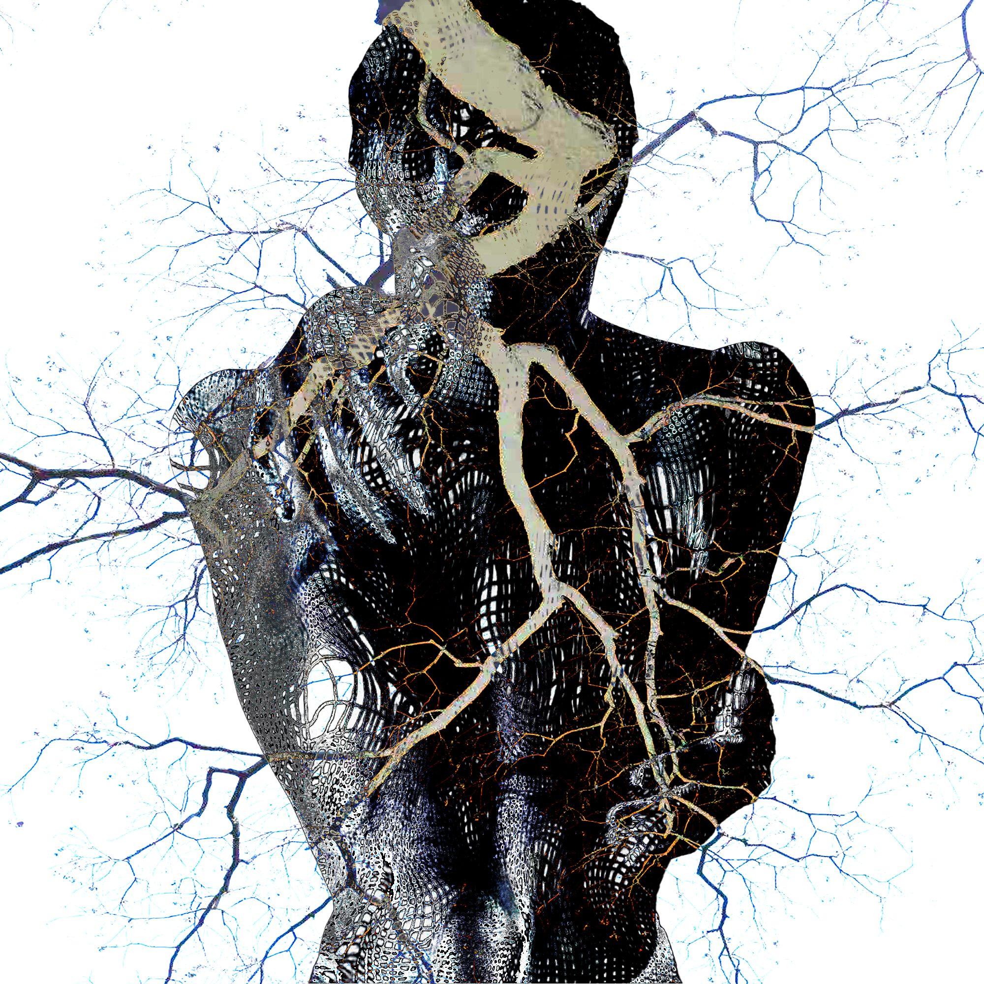 没头脑和不高兴