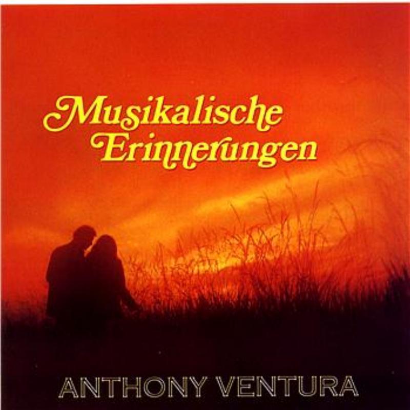 Musikalische Erinnerungen - Die Großen Erfolge