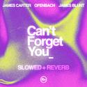 Can’t Forget You (feat. James Blunt) [slowed + reverb]