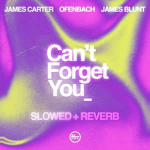James Carter & Ofenbach & James Blunt - Can’t Forget You (Pre-V) 带和声伴奏 （降4半音）