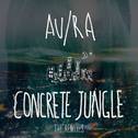 Concrete Jungle (The Remixes)专辑