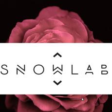 Snowlab