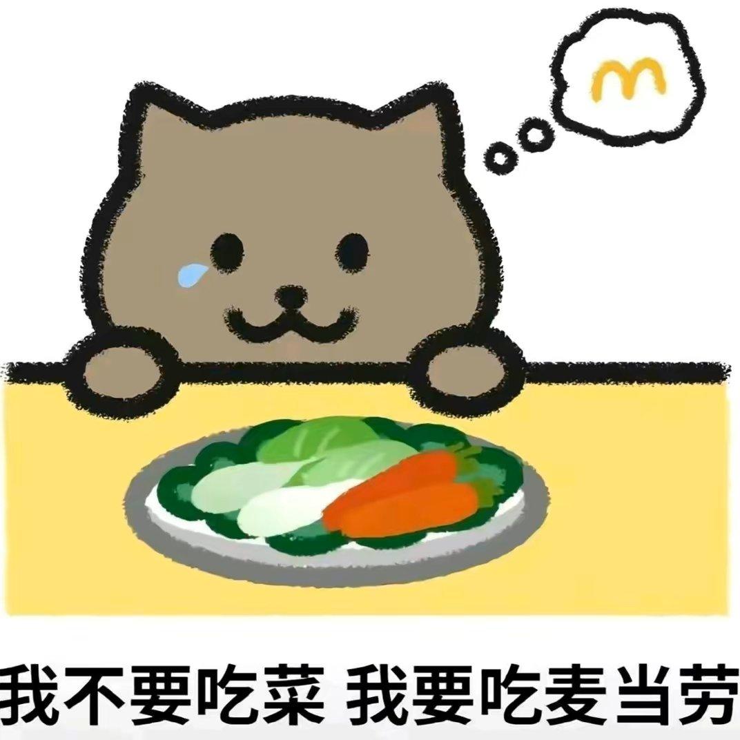 胖猫先生