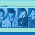 빈스프라우트 (BEANSPROUT)