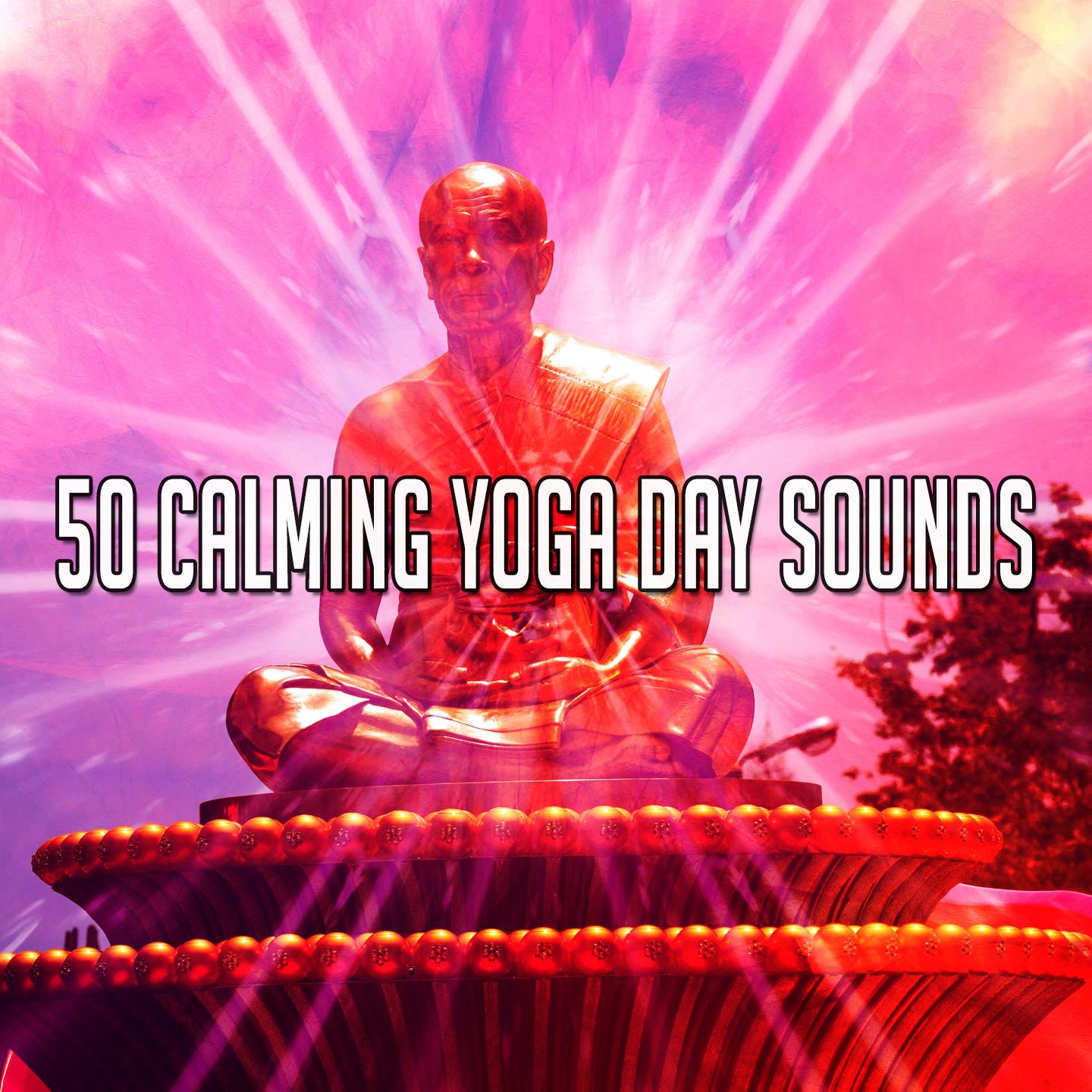 50 Calming Yoga Day Sounds专辑