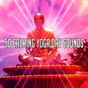 50 Calming Yoga Day Sounds专辑