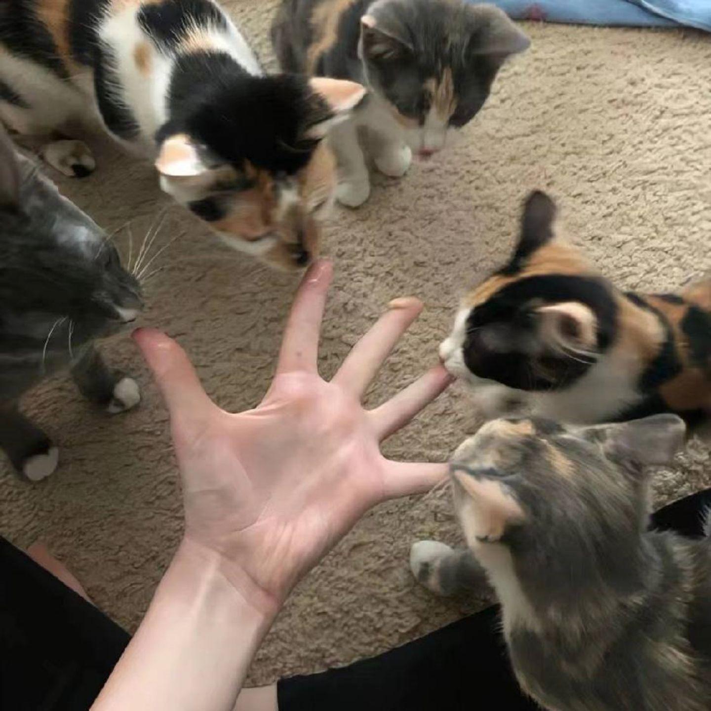 Li-2c-兄妹(新版)