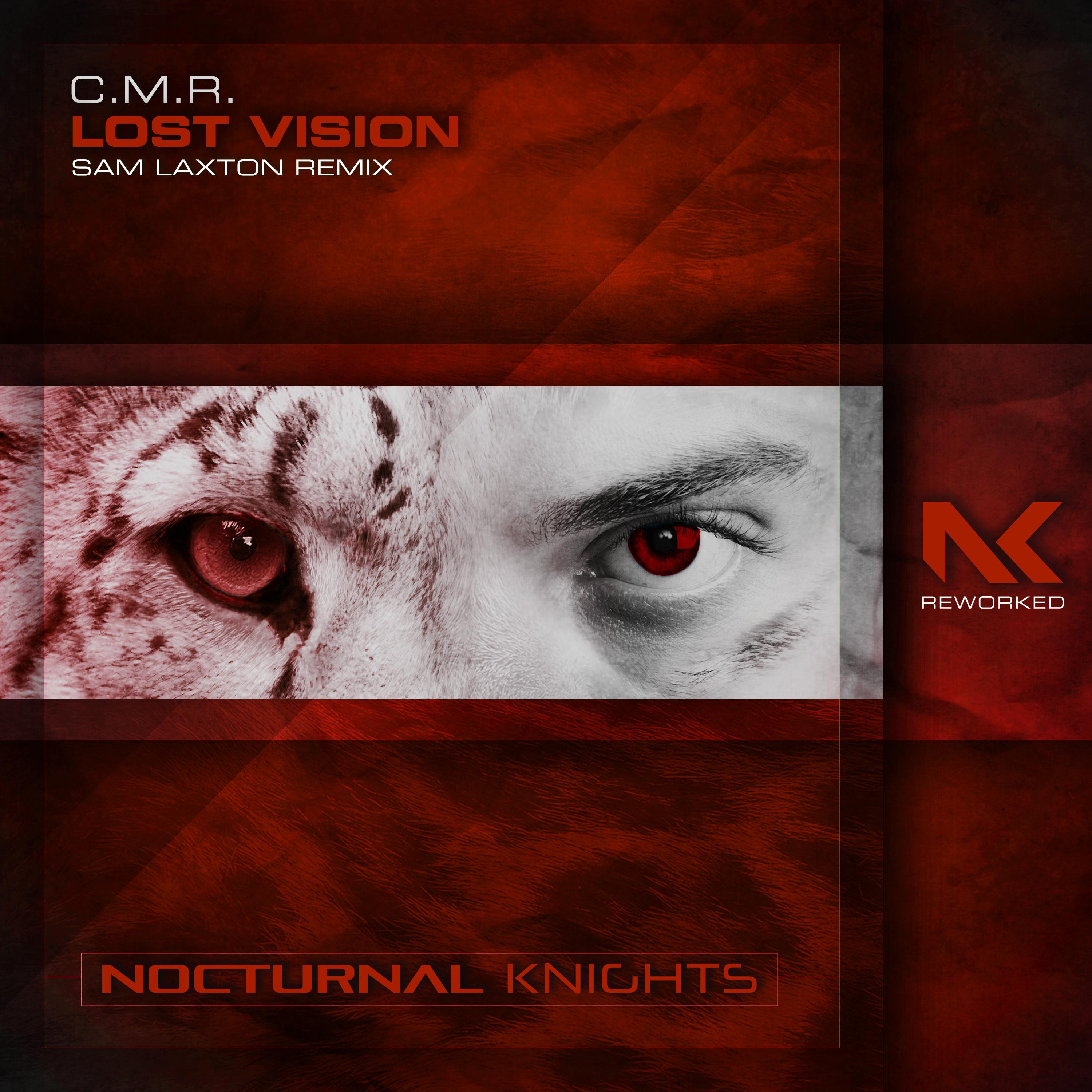 Lost Vision (Sam Laxton Remix)