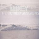 The Buried Sessions of Skylar Grey专辑