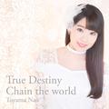 True Destiny/Chain the world (通常盤)