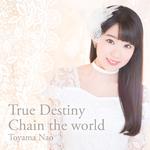 True Destiny/Chain the world (通常盤)专辑