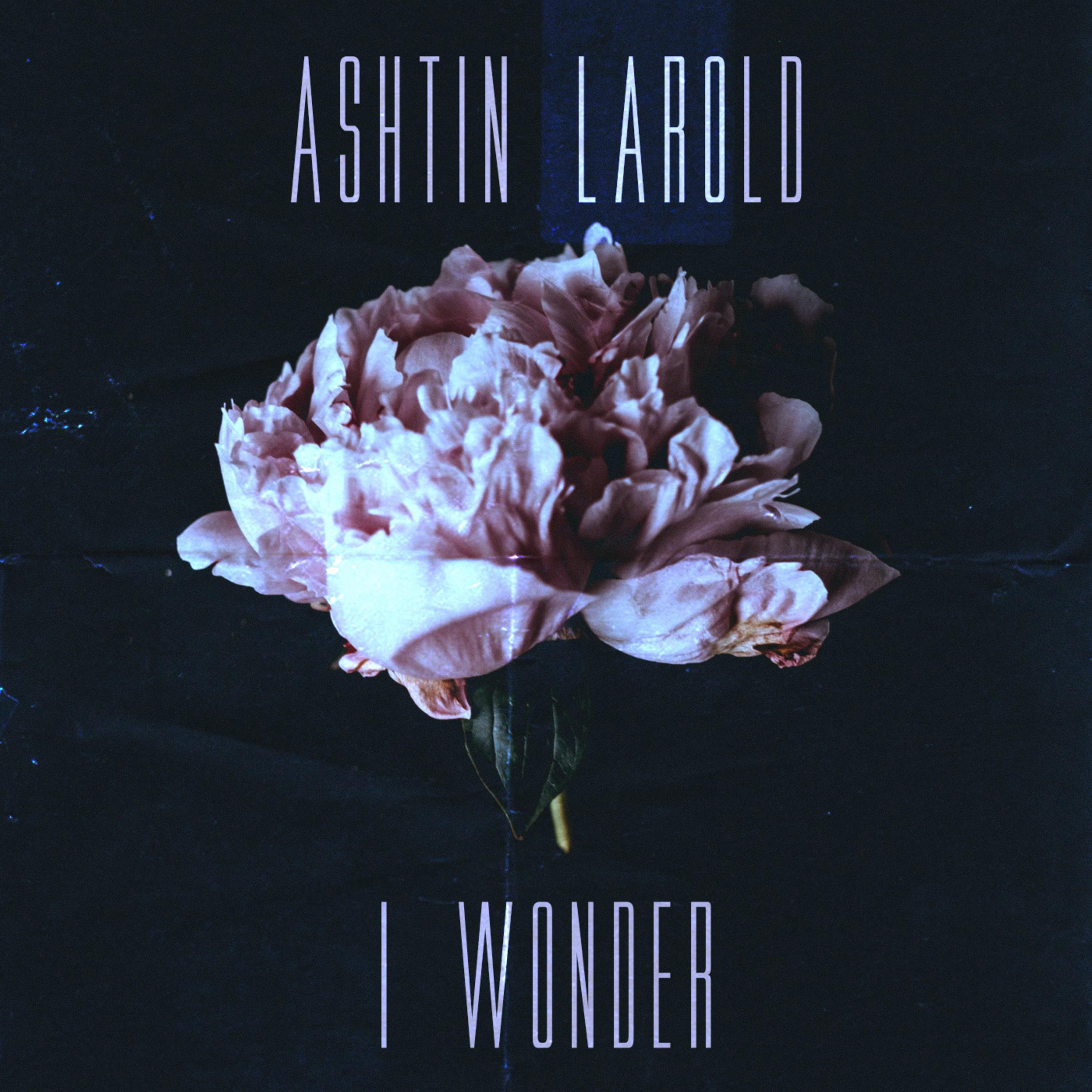 Ashtin Larold - I Wonder