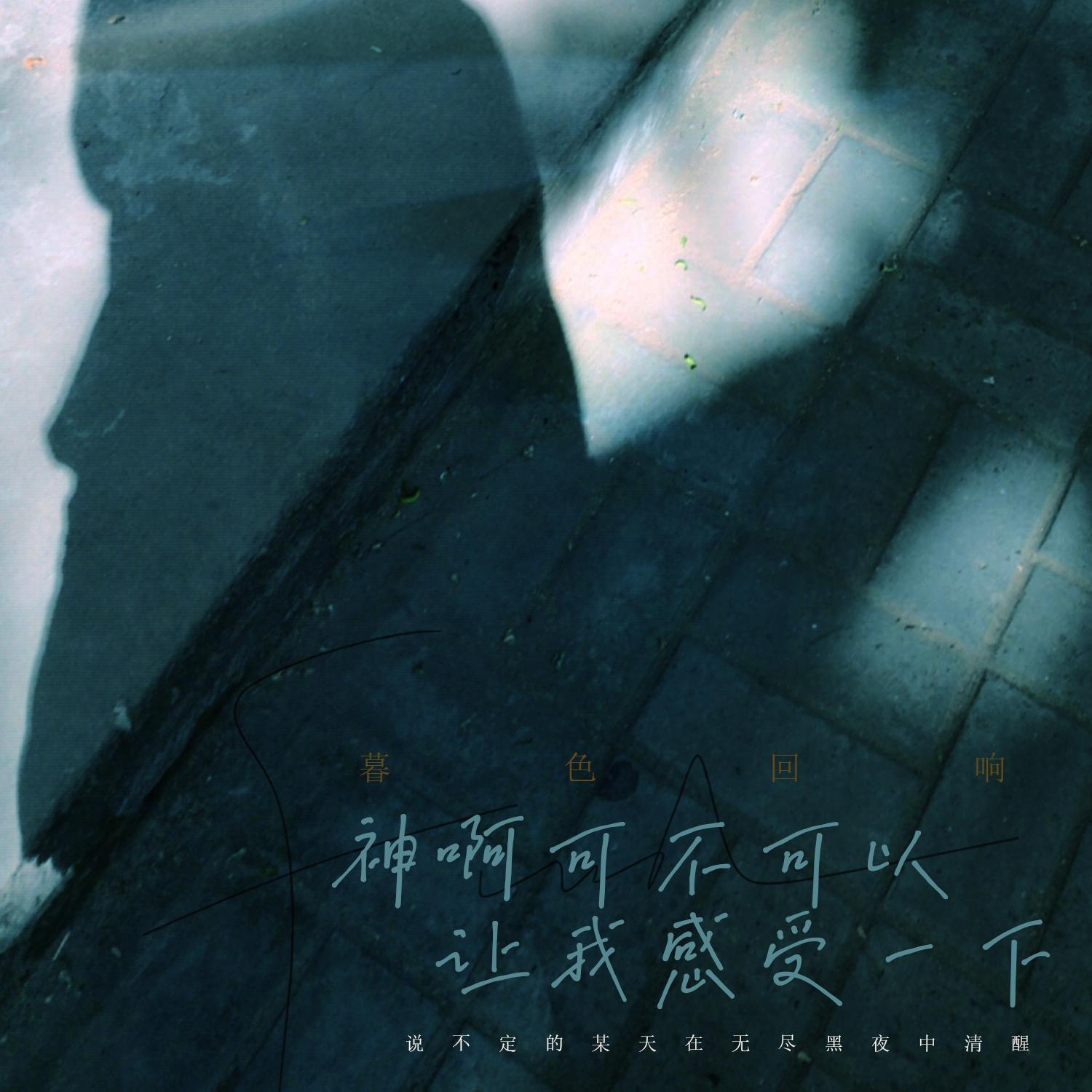 实在好玩-暮色回响.ape 下载插图