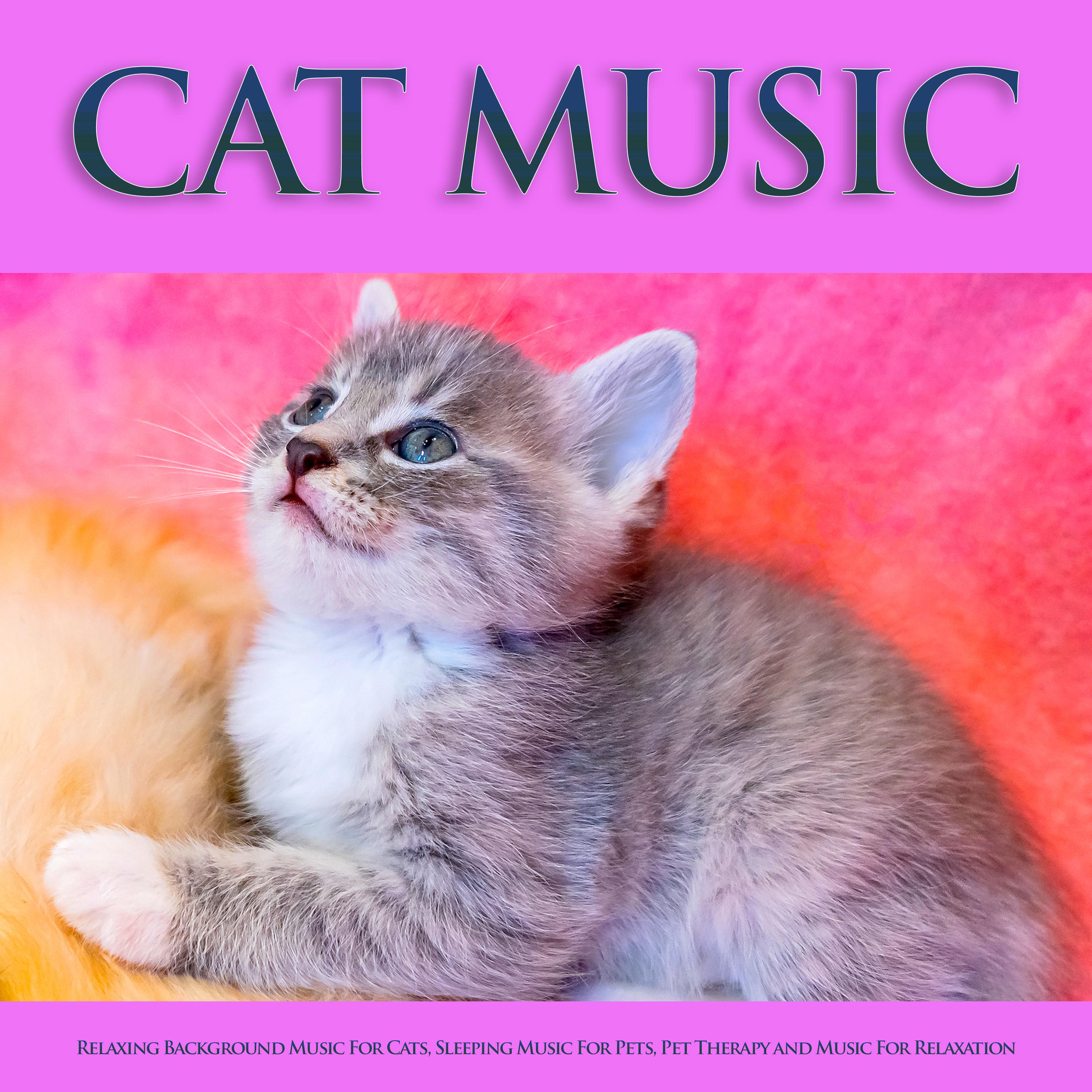 Cat Music: Relaxing Background Music For Cats, Sleeping Music For Pets ...