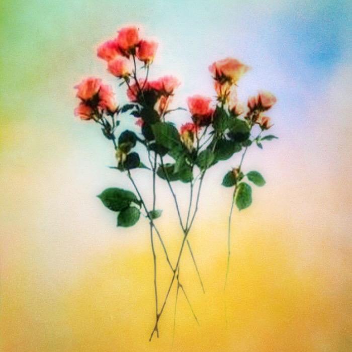 你 不 会 觉 得 生 气 吧