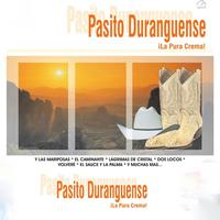 Pasito Duranguense - El Diablo En Una Botella (karaoke)