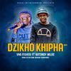 VHA FISHER - Dzikho Khipha (feat. Batondy)