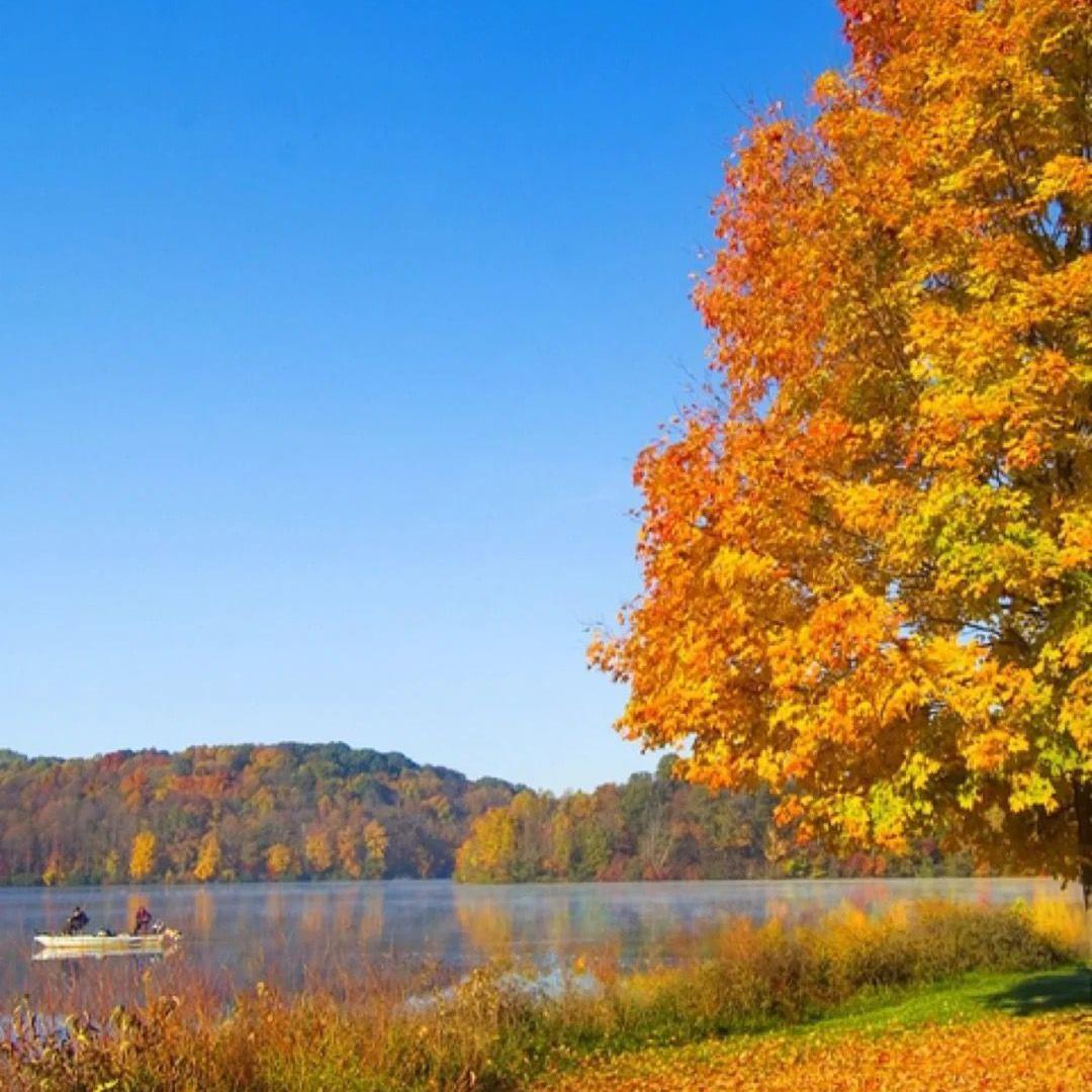 不后悔遇到你～车载6D